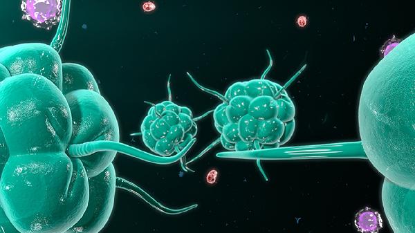 抗病毒感冒的药物