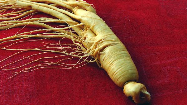 土人参的功效是什么