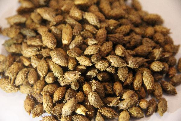 外用的中药可以用铁锅熬吗