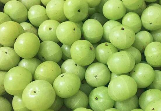 复方余甘子利咽片主治什么疾病