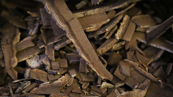 对肾好的中药有什么