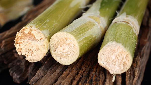 甘蔗再次被关注！医生发现：甲流患者吃甘蔗，或出现几个好转迹象