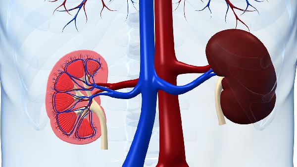 为什么尿毒症患者越来越多？提醒：5种食物少碰，肾会“感谢”你