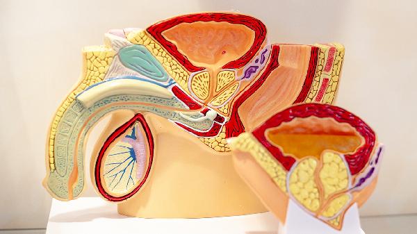 老中医治男科有效吗