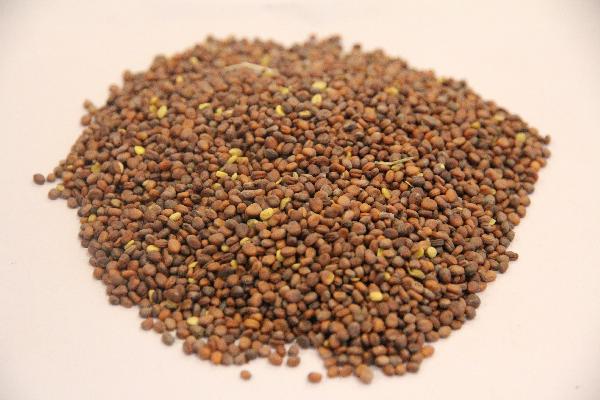 中医对10mm肺结节的治疗有效吗