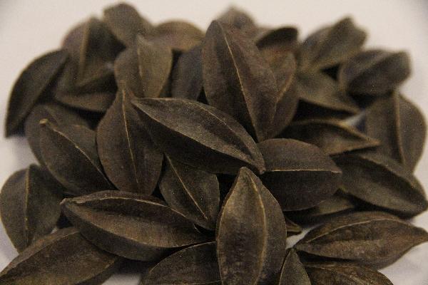 中医干燥性综合症的治疗方法