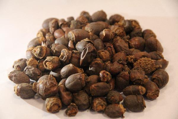 中医治疗痛风有哪些方法