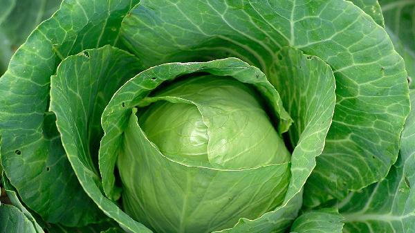 肝功能异常要避免吃辛辣油腻食物吗？