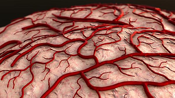 血常规淋巴细胞偏高是感冒引起的吗?