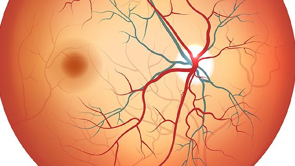 肿瘤体检通常包括哪些项目