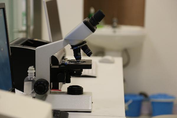 体检留尿要中段尿还是前段尿？