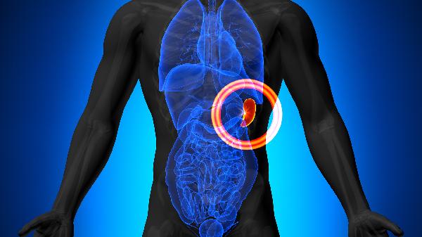 无症状脾大需要定期做B超吗?