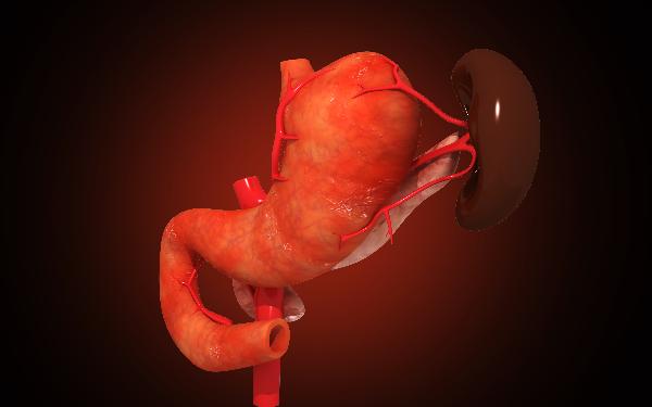 无症状脾大需要定期做B超吗?