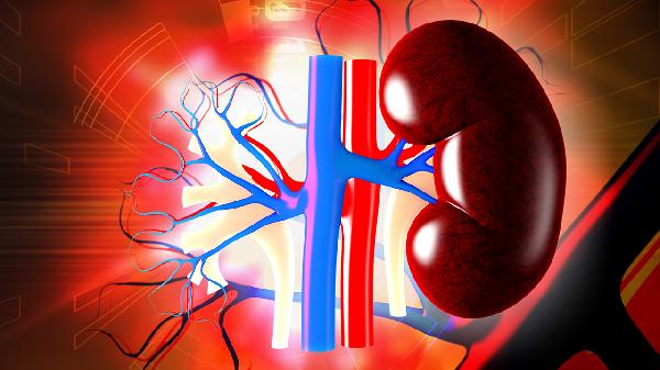 它被称为“天然雄性激素”，男性经常食用有助补肾强身、精力旺盛