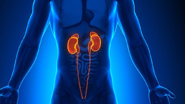 世界上最好的药 就是阳气 2招教你补阳气