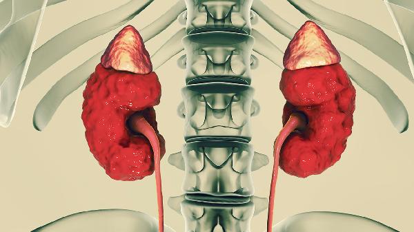 想要补肾强腰，分享一个动作，在家就能做！