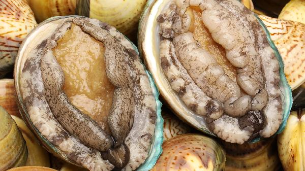 吃海鲜喝啤酒会痛风?风湿科医生:这4类食物更要忌口