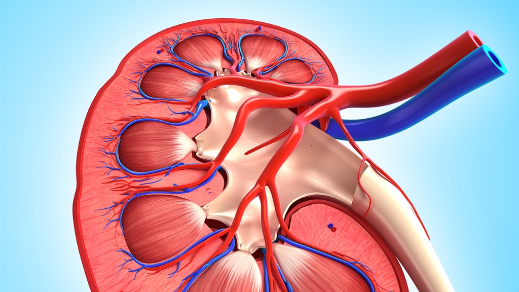 10分钟，她能满足吗？