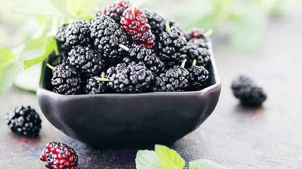 桑葚干泡水一次几个?哪些人不要随便吃?分享正确泡法跟注意点