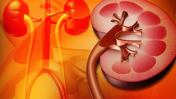医生提醒:4种食物是肾坏死的“加速器”,千万要小心