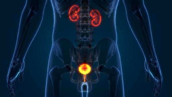 早泄吃中药可以治疗吗