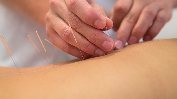 中医减肥的药茶配方