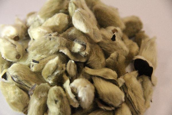 中药为什么吃七天停一天