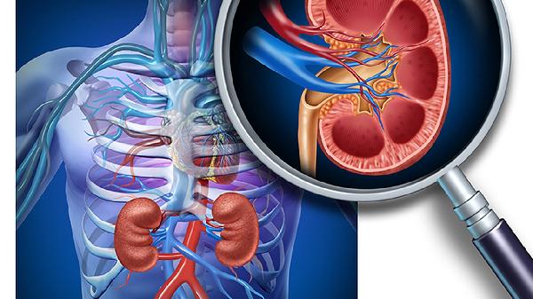 什么药补肾最好