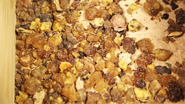 喝中药可以喝酒嘛