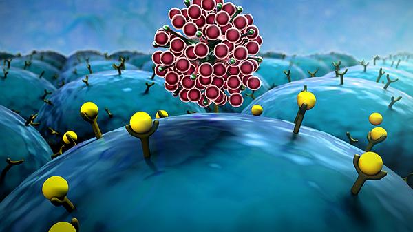 hpv抗病毒药物治疗多久