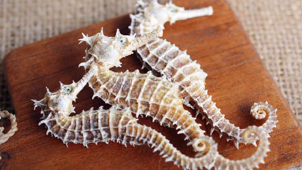 吃完中药可以吃水果吗