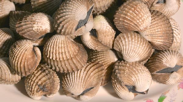 吃中药为什么不能吃水果