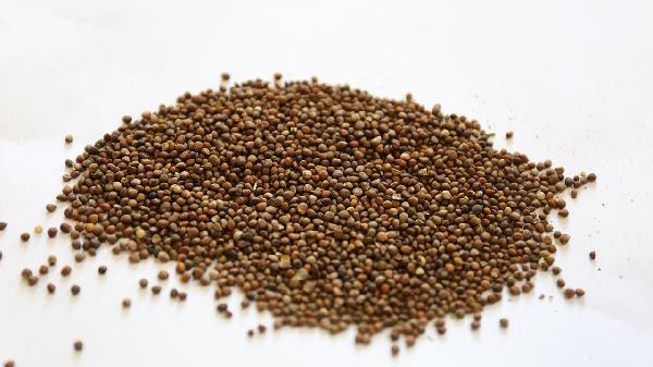 中药外敷对骨折的作用