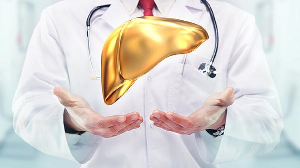 护肝降酶药有哪些