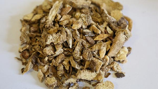 中药南沙参的功效与作用