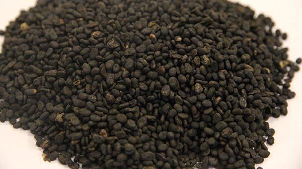 中药补骨脂功效与作用