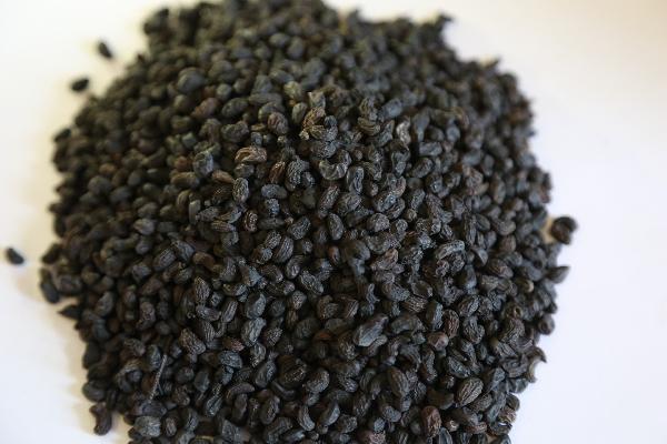 有什么最佳药物治疗痛风