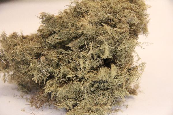 一味中药治疗重度抑郁