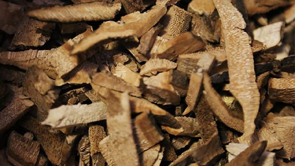 除了药物外还有哪些方法能助勃