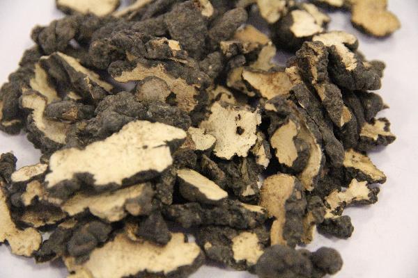 中医治白内障中药有哪些