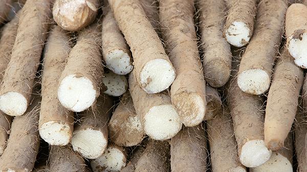 山药粉的吃法和功效