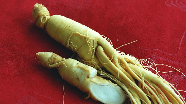 人参健脾丸的主治和功效