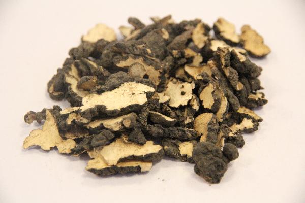 中药龟板的功效与作用