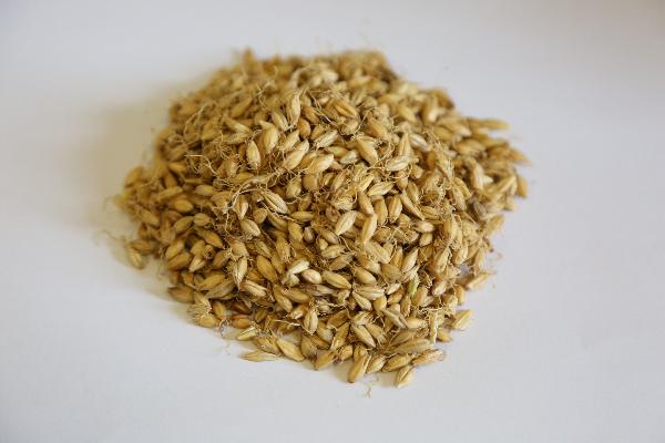 中药能根治生殖器疱疹吗