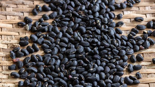 每天吃泡黑豆,6个月后去体检,检查报告让医生羡慕