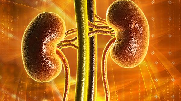 尿毒症晚期患者通常如何离世？医生身体或有预警，为何常被忽视