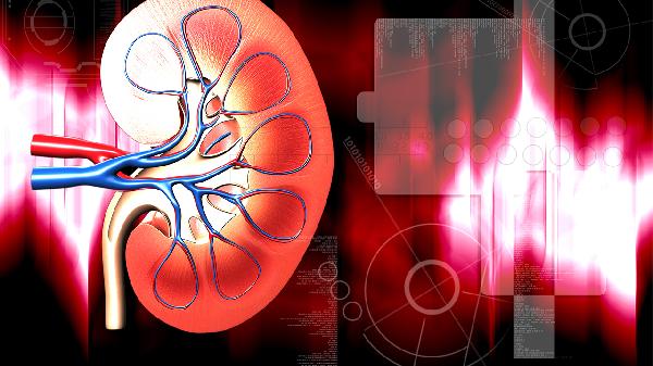 医生忠告慢性肾炎患者防尿毒症,需谨记“三忌食、两避免”!