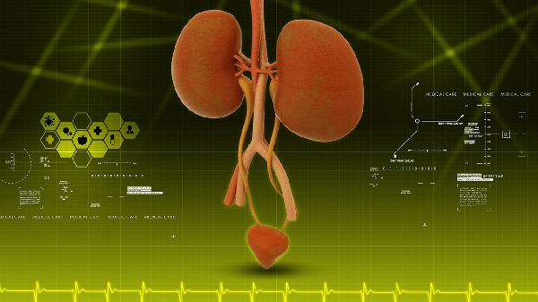 51岁男子频频排尿导致肾衰竭,医生提醒这些习惯太伤肾