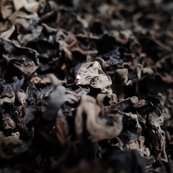 黑木耳并非百搭食材?医生提醒遇到它的“死对头”最好别同桌