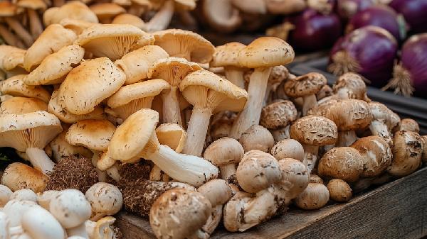 菌菇汤怎么熬更鲜美